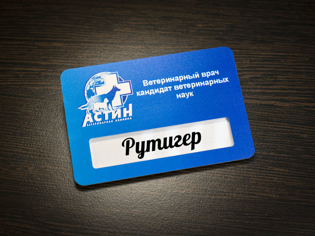 пластиковый бейдж с окнорм для ветеринара