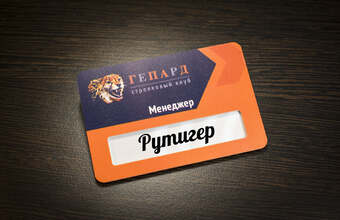 пластиковый бейдж с логотипом и окном